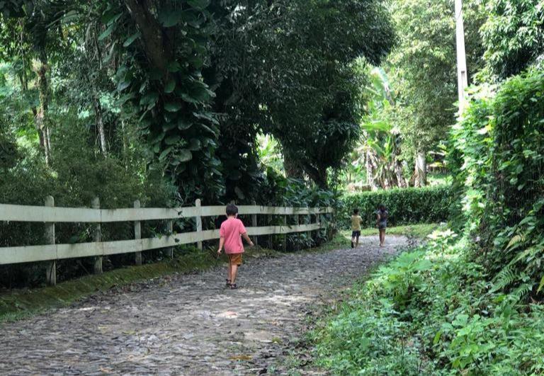 Monte Suico - Chales Para Locacao Guaramiranga Exteriör bild